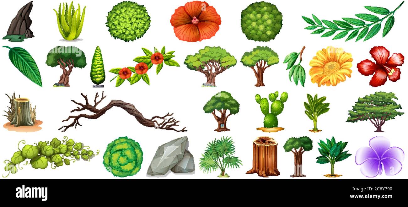 Set of different nature isolated on white background illustration Stock ...