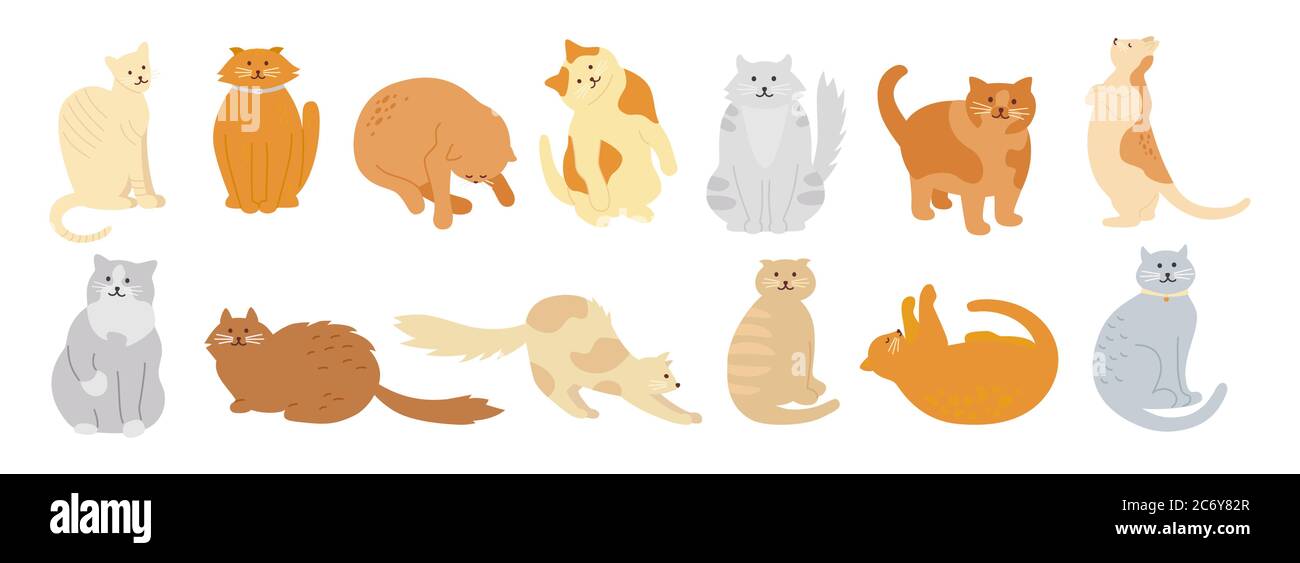 Cat character collection. Cute flat cartoon design set. Different kitty breeds, pet characters. Funny cats sitting, sleeping. Different colors, stripes spots. Hand drawn isolated vector illustration Stock Vector