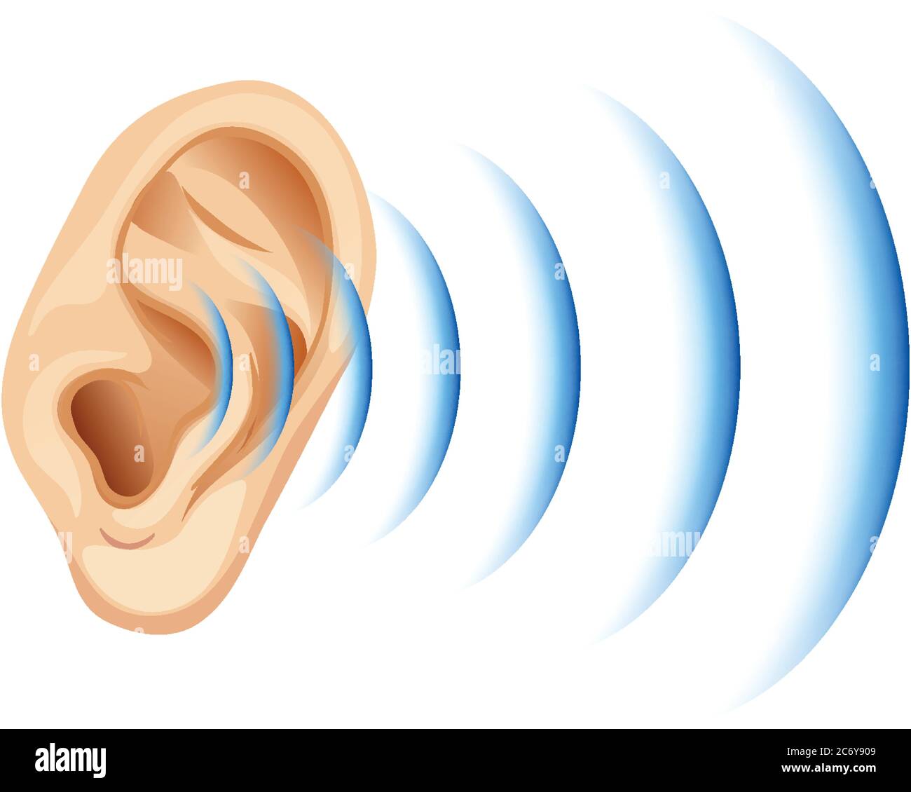 Audio signal ear vector hires stock photography and images Alamy