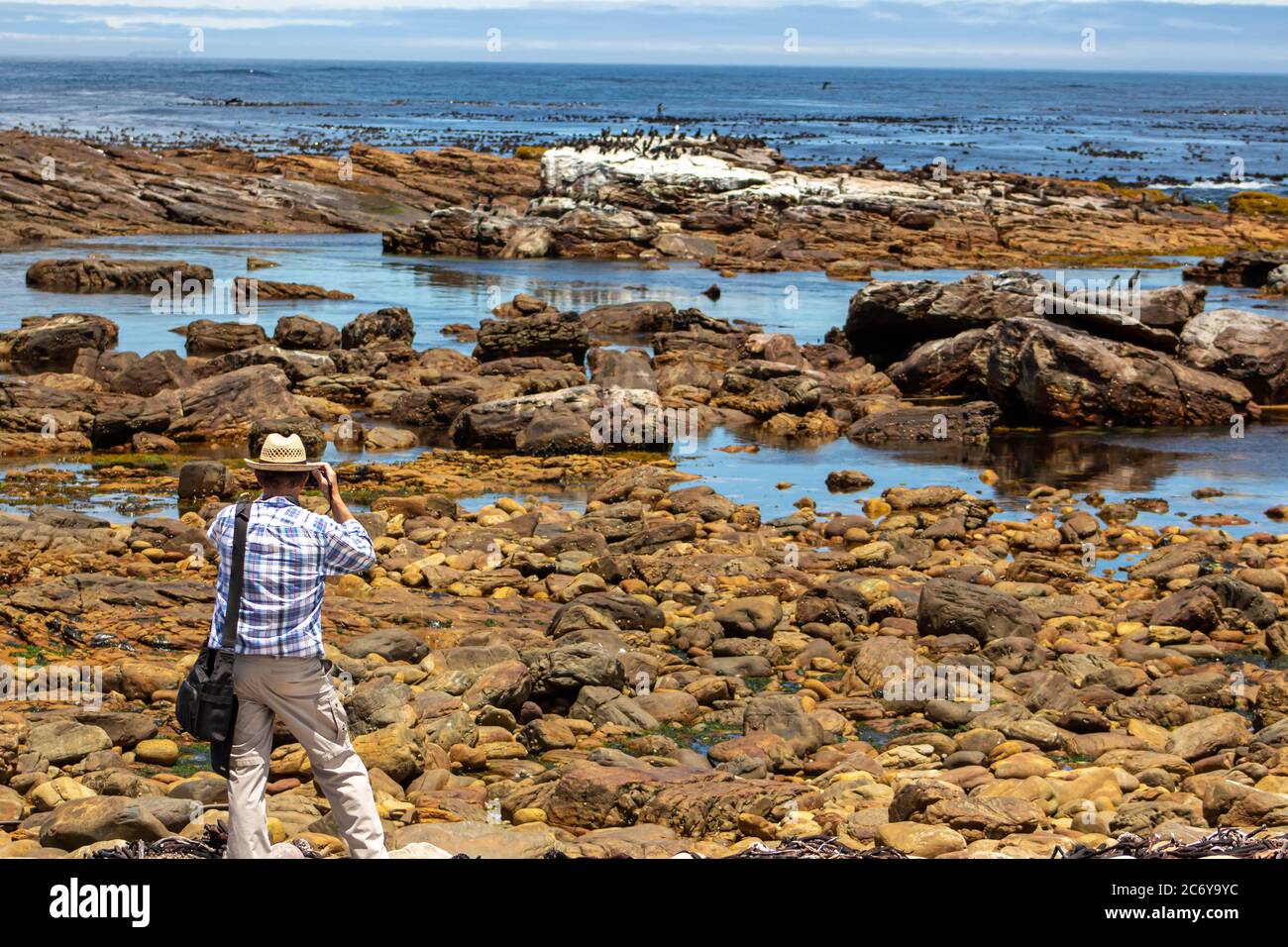 Man photographs wildlife at rocky ocean shore in the Cape of Good Hope Stock Photo