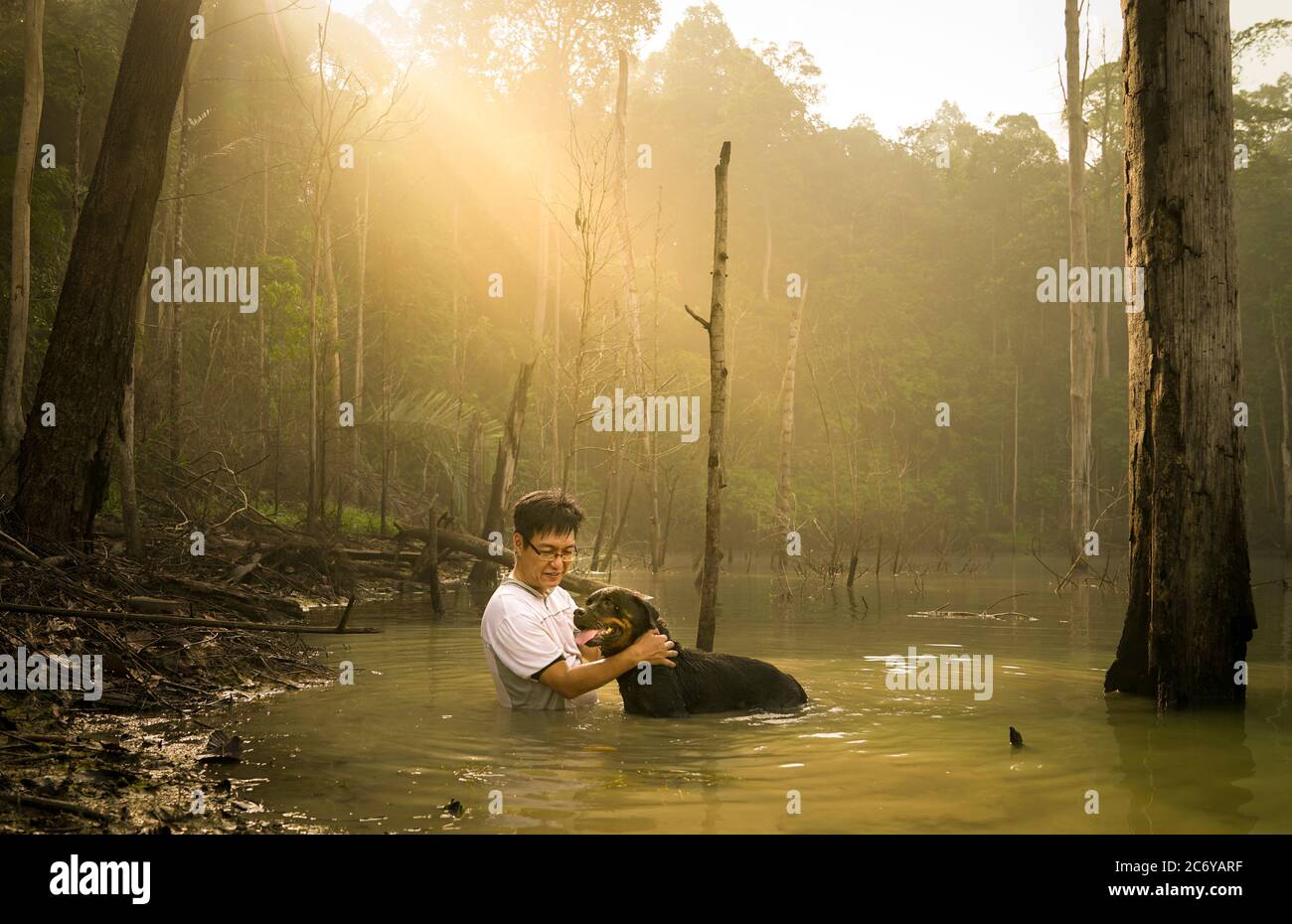 Man with his rottweiler dog inside the lake with beautiful morning sun beam. Bonding time concept. Stock Photo