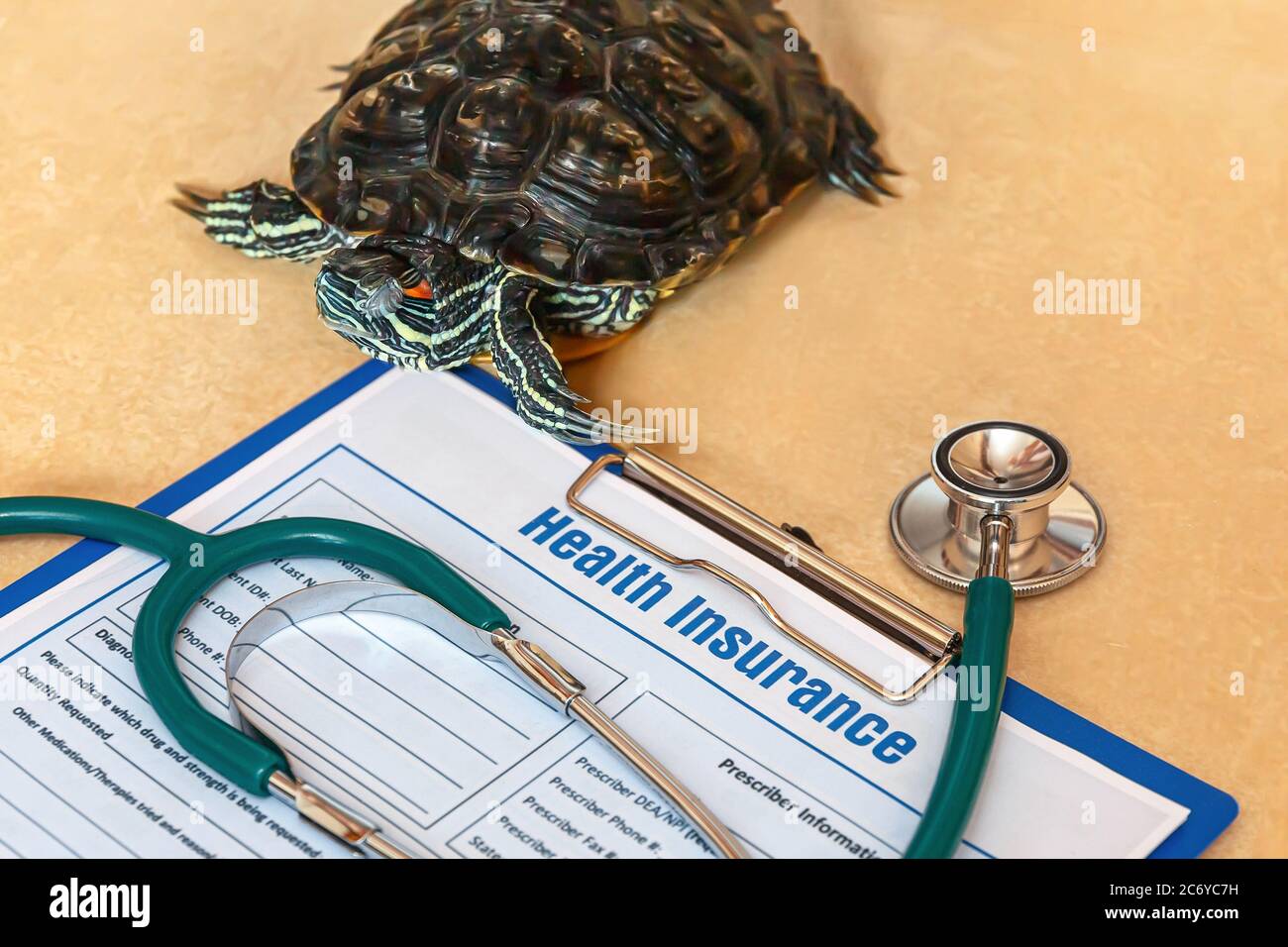 Turtle Health Insurance