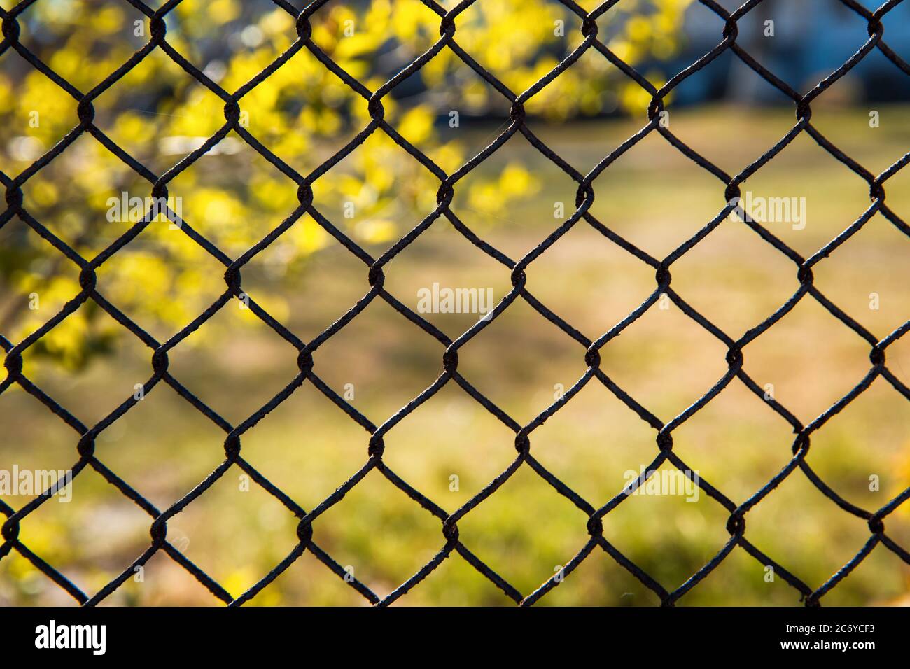 Iron mesh fence on a background of nature. Stock Photo