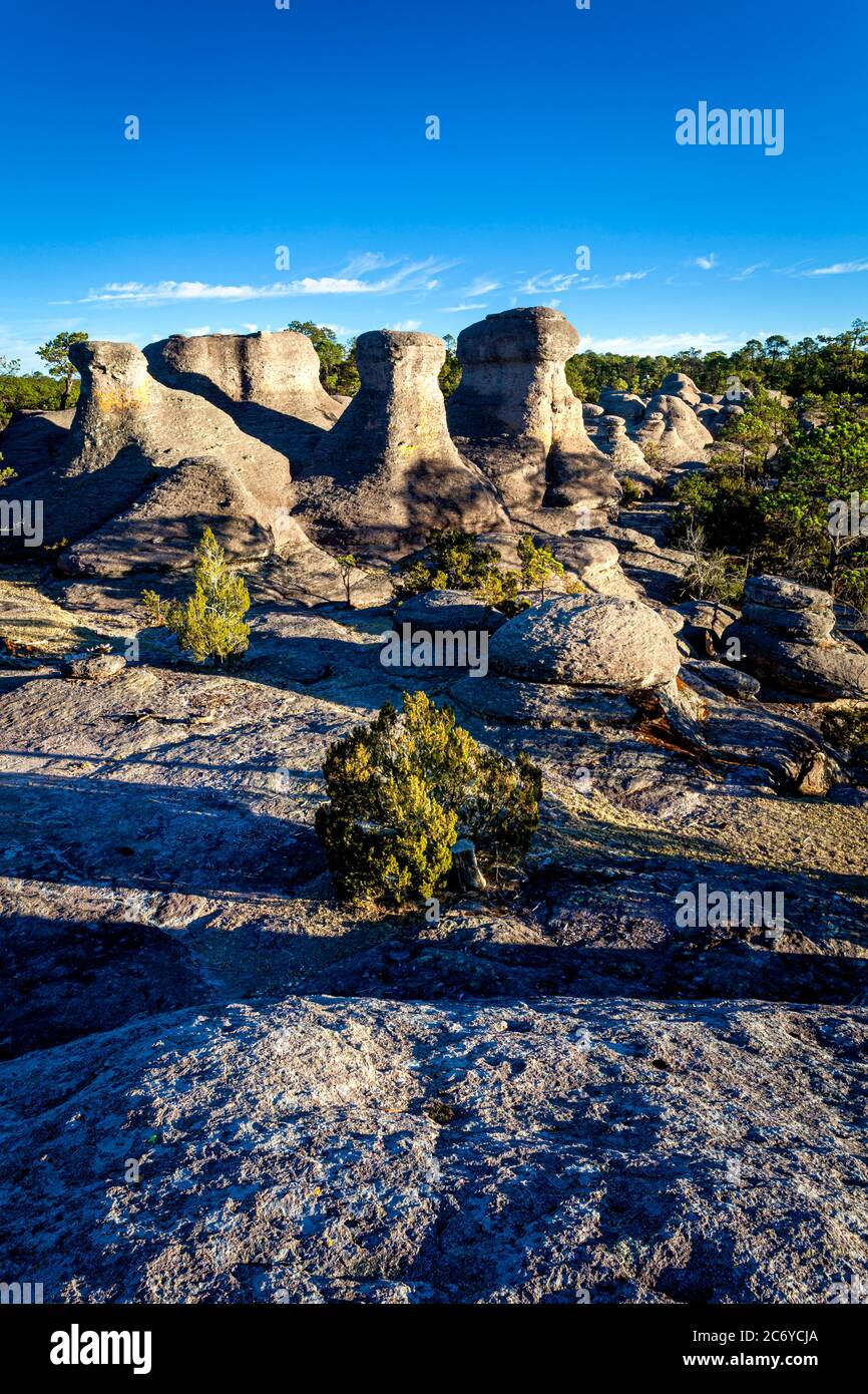 Unique rock formations of Mexiquillo, Durango, Mexico. Stock Photo