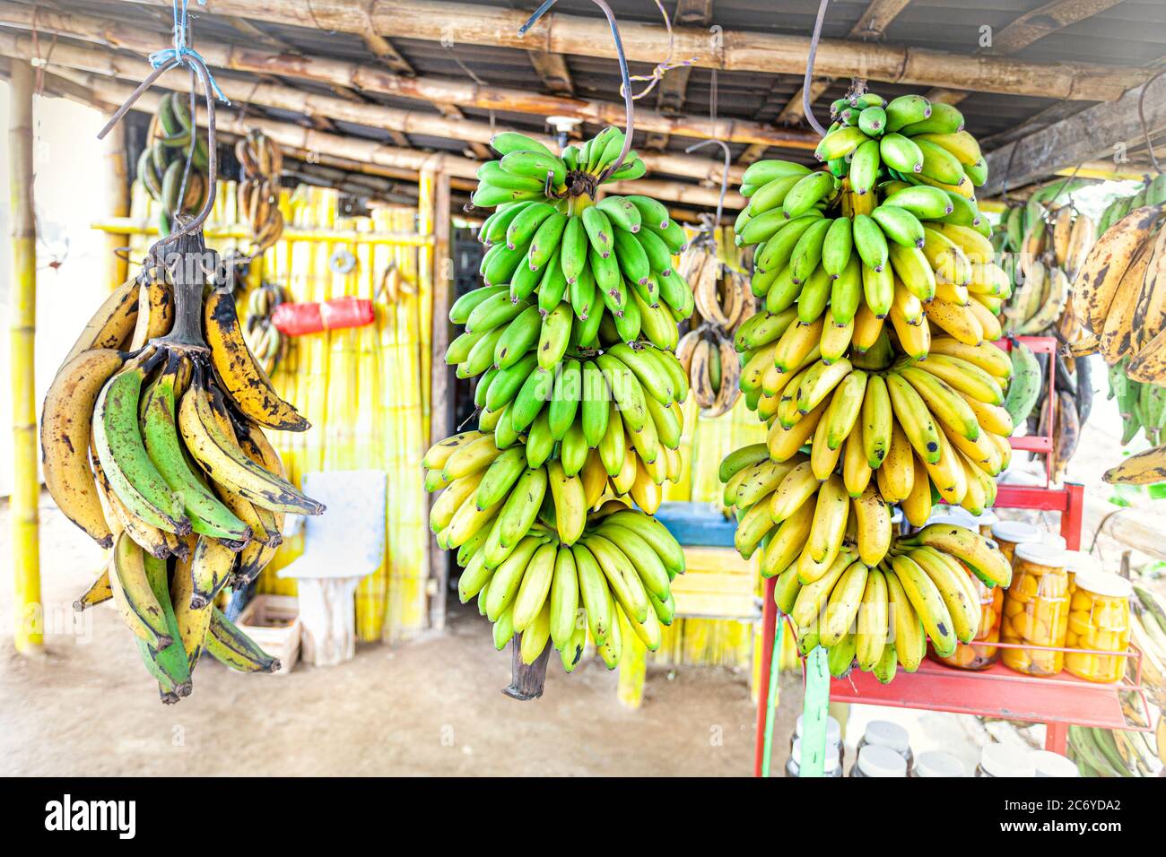 Bananas hang in a market near Papantla, Veracruz, Mexico. Stock Photo