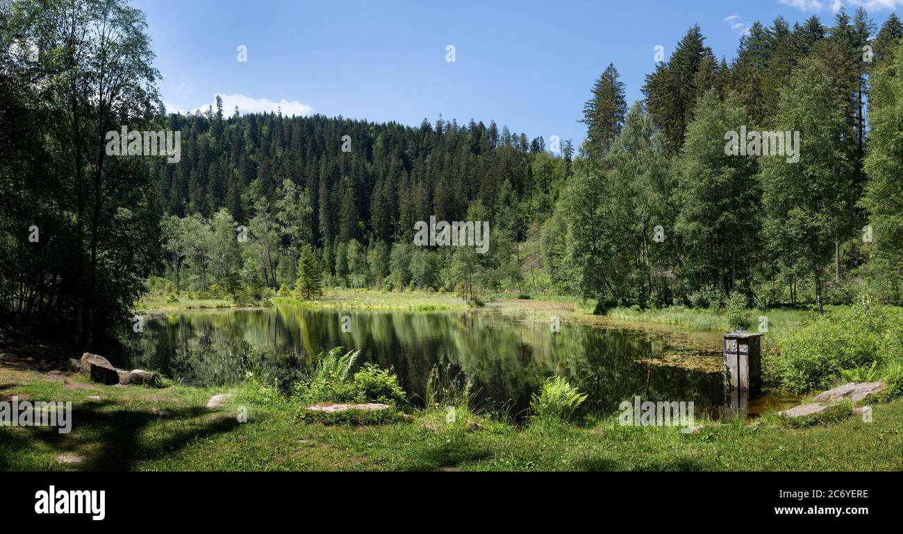 Lake Ellbachsee in the Black Forest in Germany Stock Photo