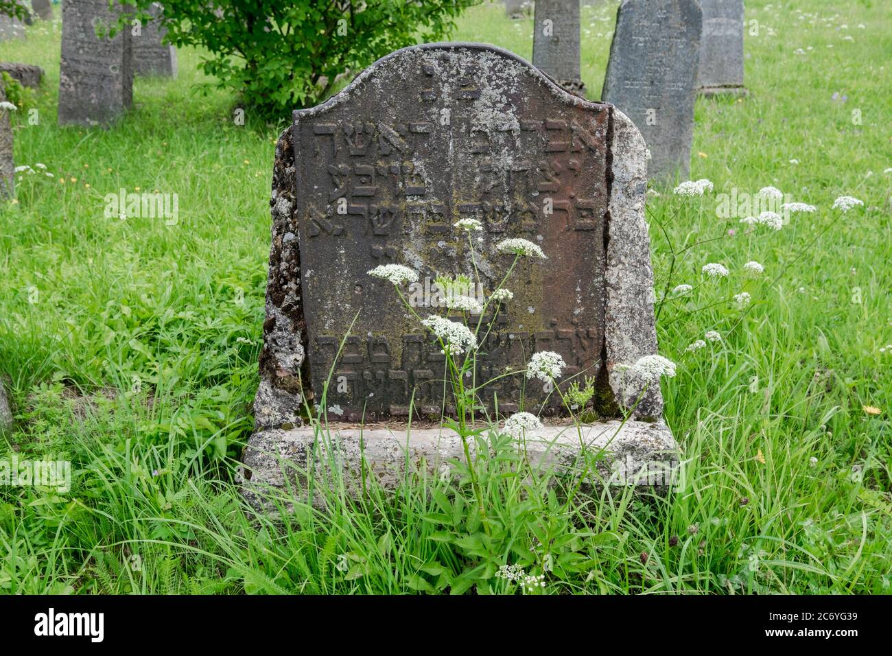 A look at the former old, rural, Jewish graveyard in Kedainiai