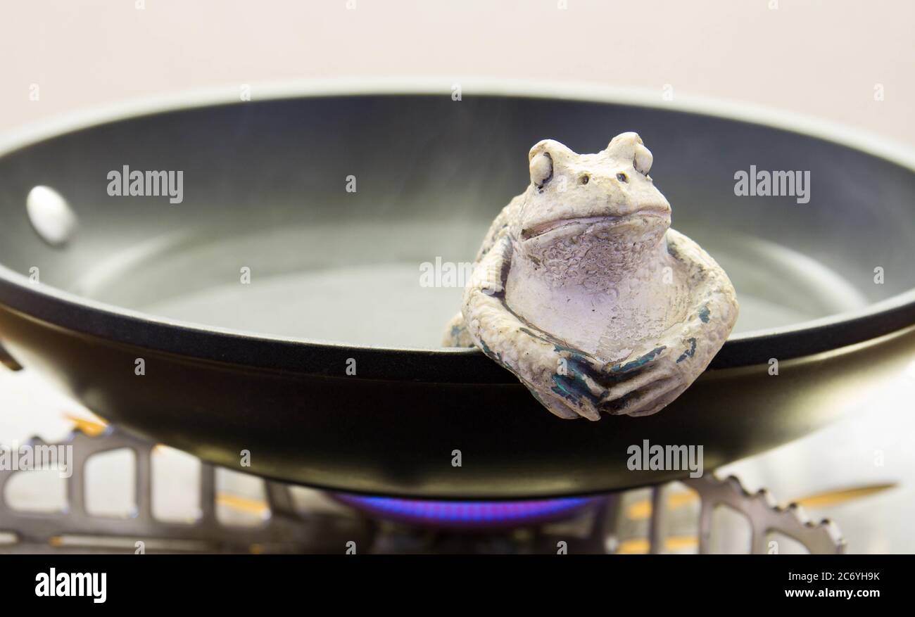 Frogboiler hires stock photography and images Alamy
