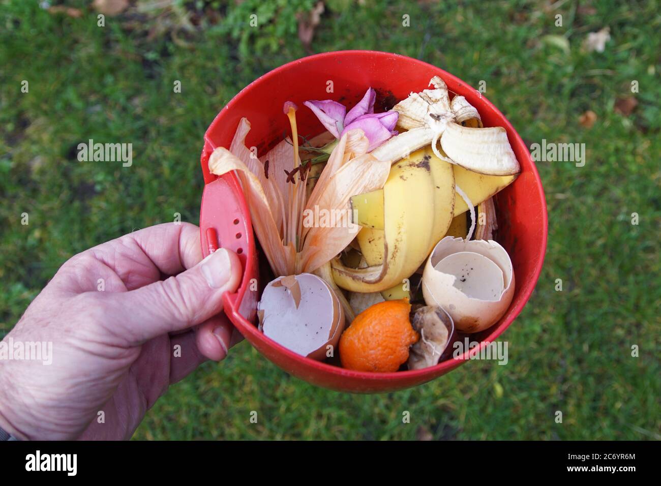 Red kitchen compost bin with kitchen waste such as egg shells, banana peel, mandarin peel, tea