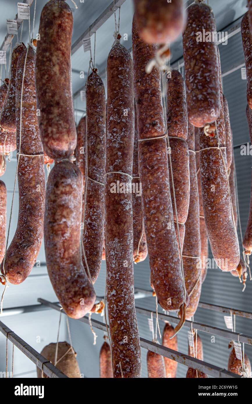 Tasty salami with white mold Stock Photo