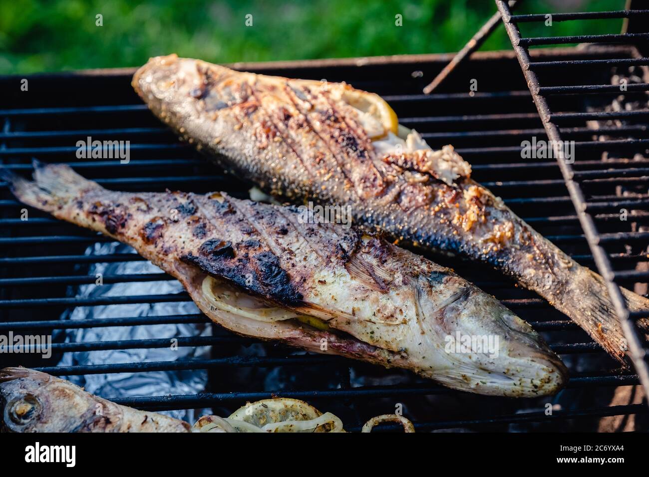 Grilled Sea Bass on a grill Stock Photo Alamy