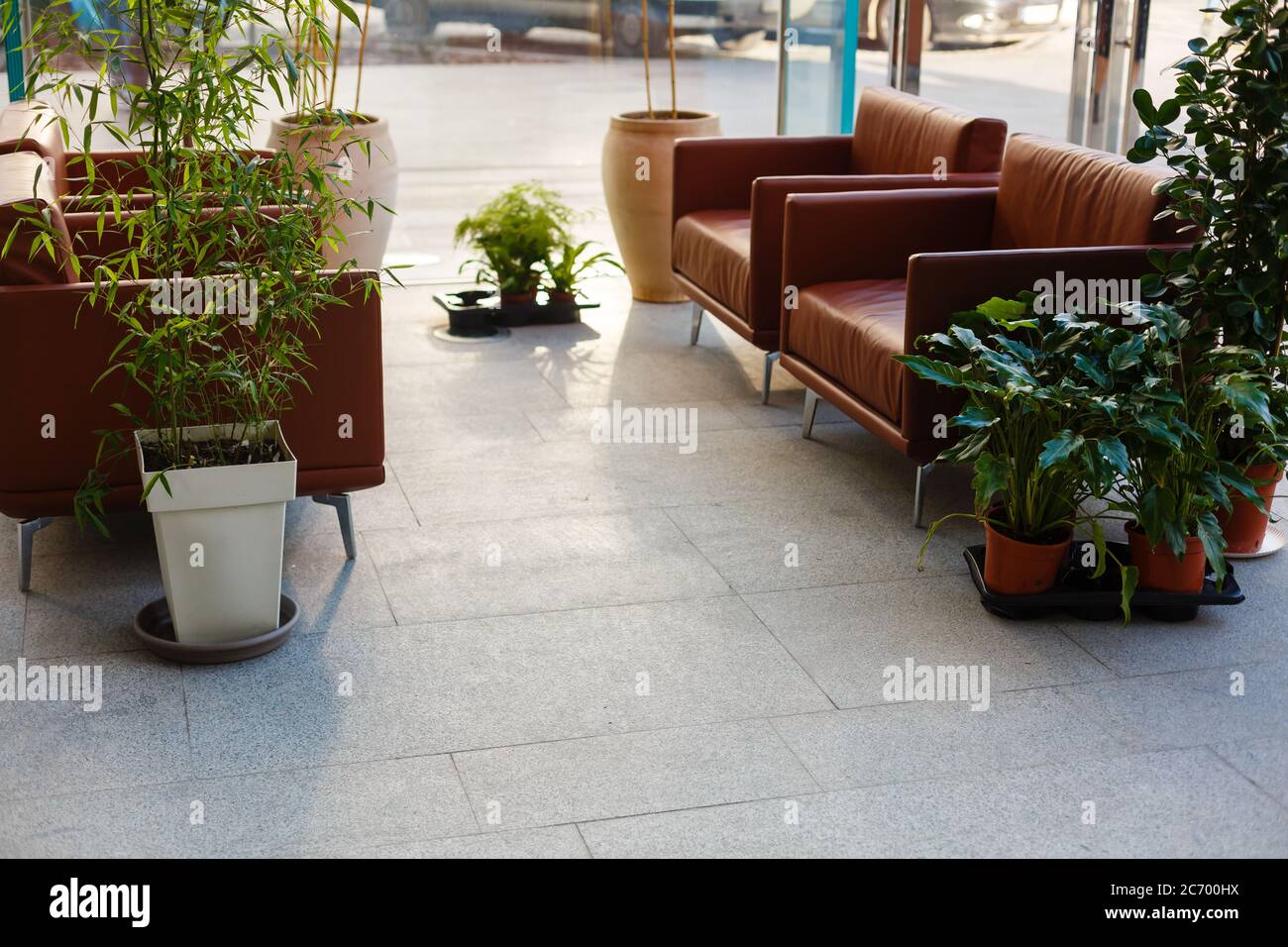 A living room filled with furniture and a plant Stock Photo - Alamy