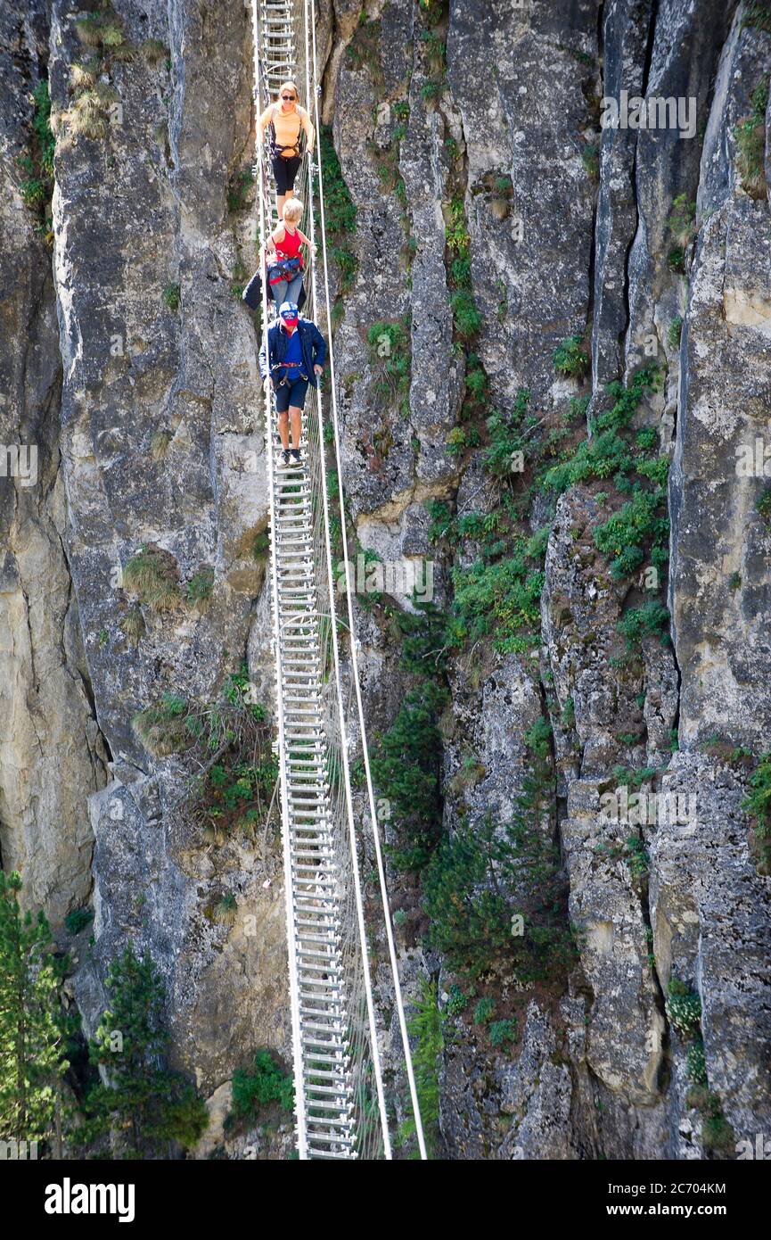 Abs And Pecs In Human And Gorilla