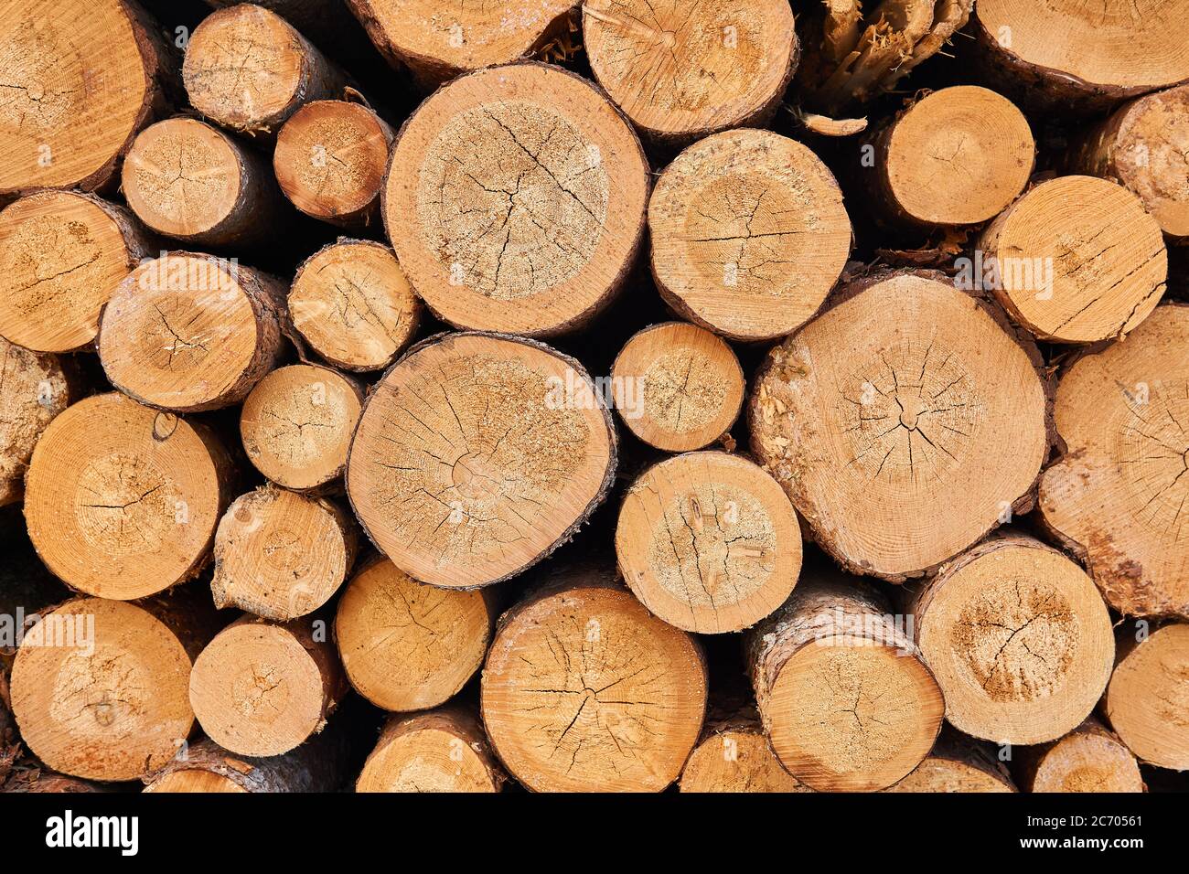 Background - Ends Of Stacked Birch Logs Stock Photo - Alamy