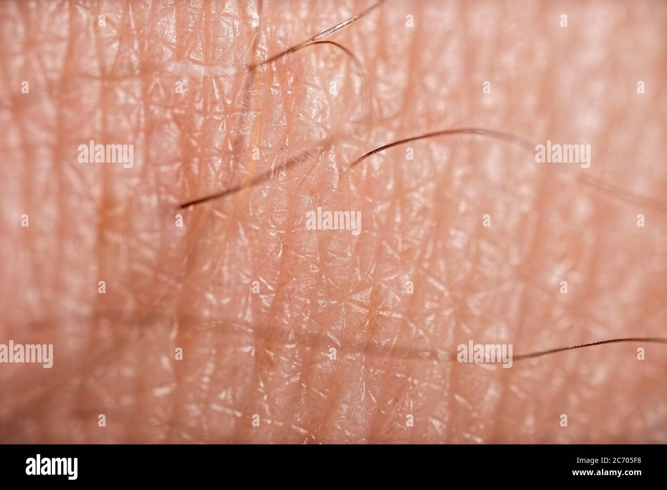 Detailed macro photo of human skin. Detailed texture. Closeup background Stock Photo