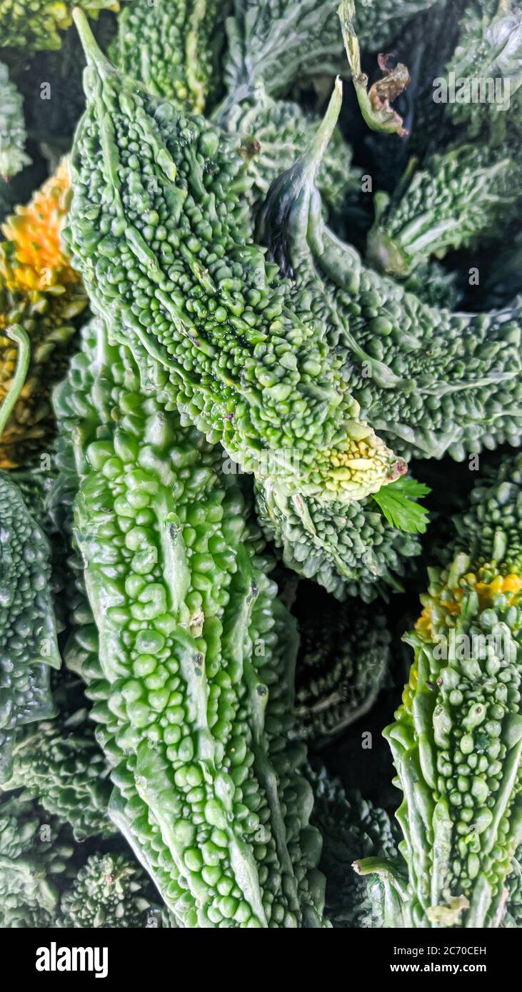 bitter gourd vegetable stock photography Stock Photo Alamy