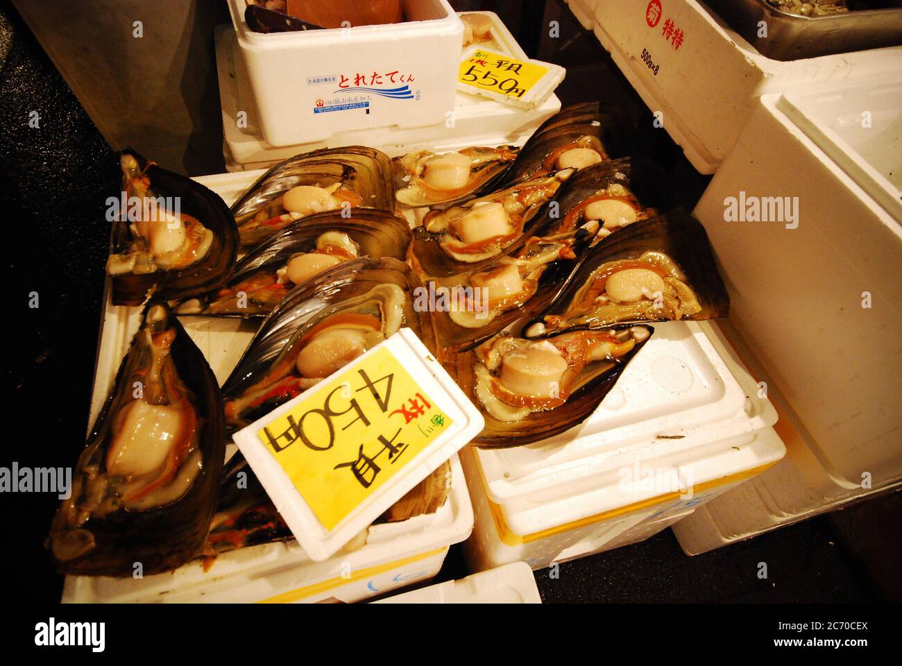Giant clams on display, at Tsukiji fish market, one of the biggest