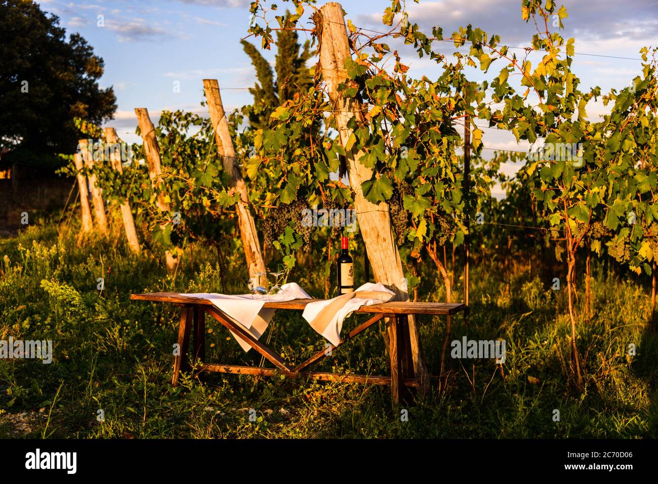 Eine Weinprobe kurz vor Sonnenuntergang in einem der Weinberge der Tenuta di Monaciano ist ein unvergessliches Ereignis. Stock Photo