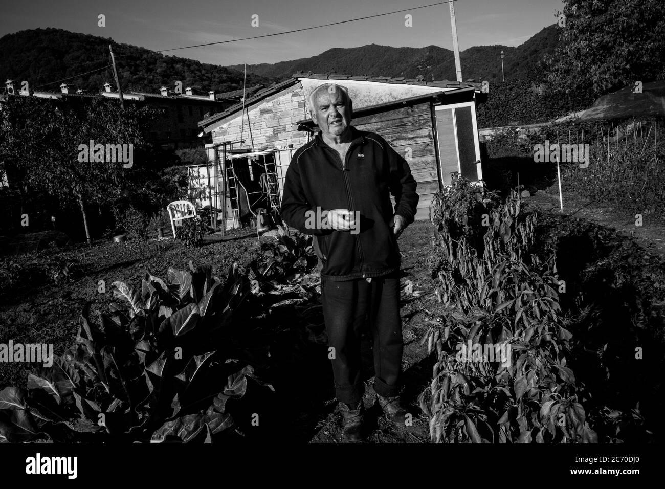 Jose Carrillo, 75, retired, portrayed in his vegetable patch in Riudaura, Spain (Catalonia). Date: 28/10/2017. Date: Xabier Mikel Laburu. Jose is one of the few villagers who feel Spanish. Originally from Campanillas (Malaga), he arrived in Riudaura when 6 following the exile of his father following the Spanish Civil War. At home he says that they never talk of politics or soccer at home since both of his sons are independentists, but other then that, he has been living with his political ideas with no problems in the village. Stock Photo