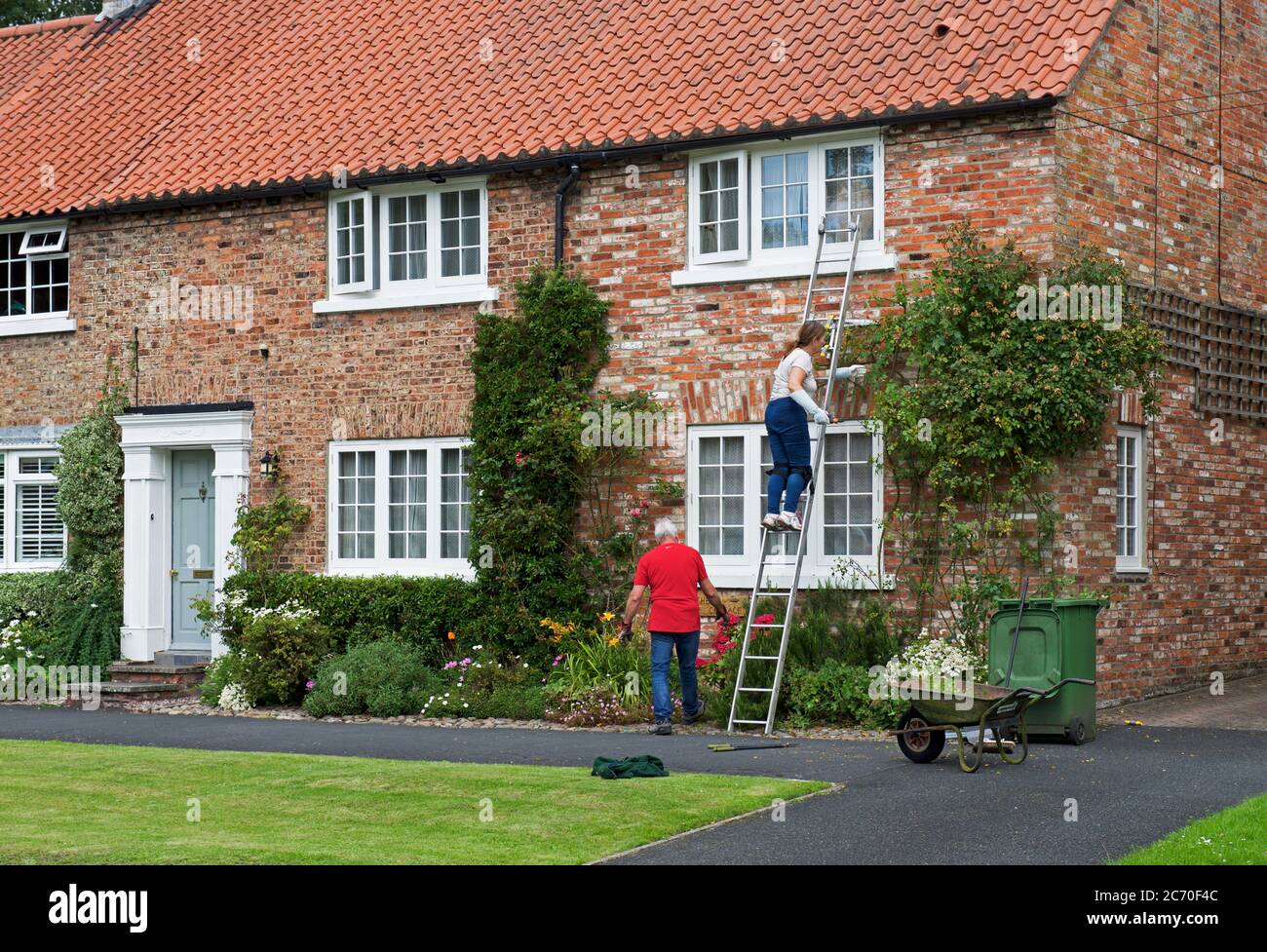 Householders trimming foliage on their house, in the village of Sutton