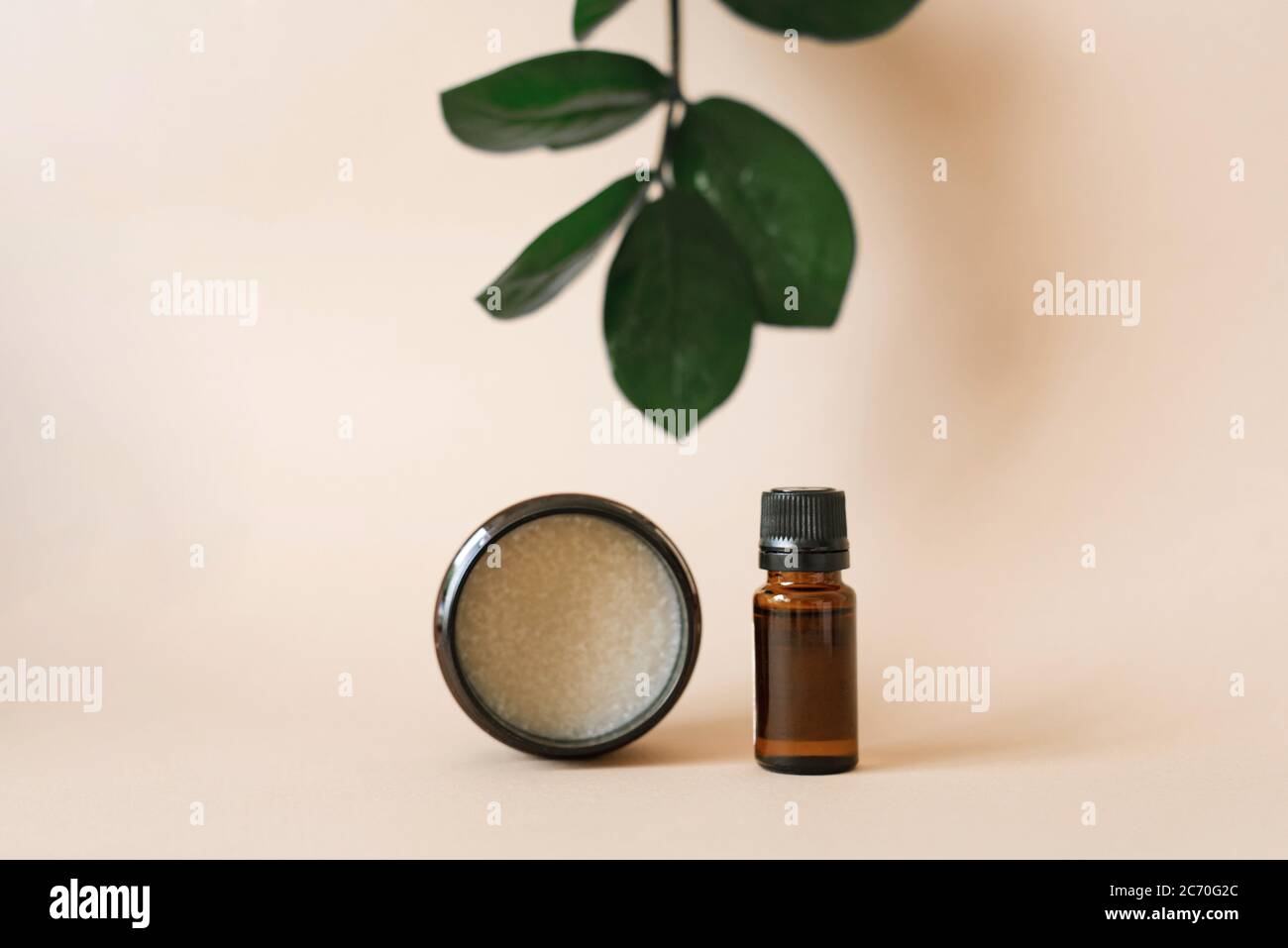 Vegetable cosmetics for body care in beauty salons. Bottle and jar with oils on a beige background with leaves of green zamiokulkas Stock Photo