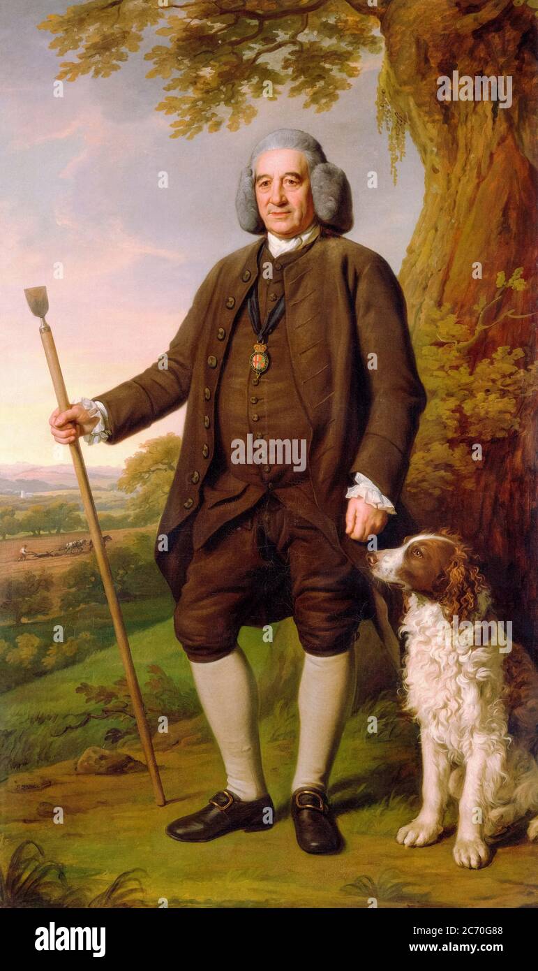 Thomas 'Sense' Browne (1708-1780), land surveyor, Garter Principal King of Arms, portrait painting by Nathaniel Dance, 1775 Stock Photo