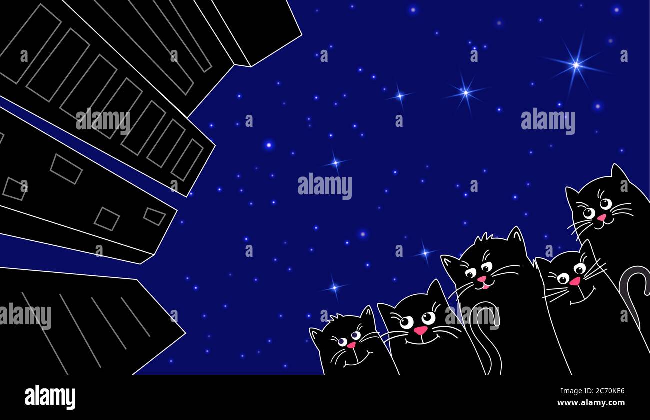 Black cat in starry night Stock Vector Images - Alamy