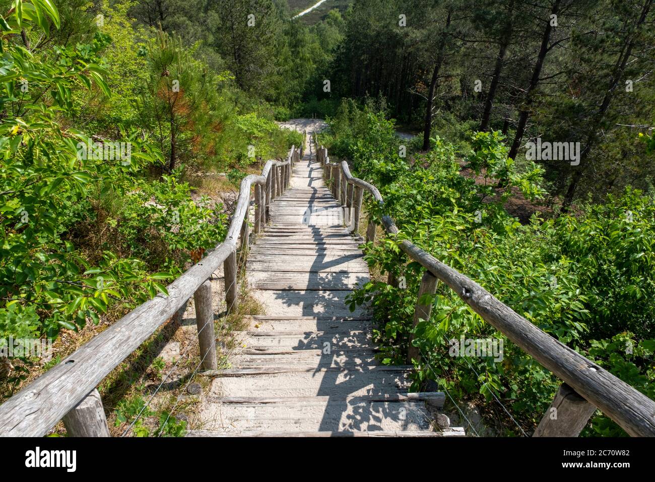 Timbre wooden stairs in the dunes near the sea in the netherlands Stock Photo