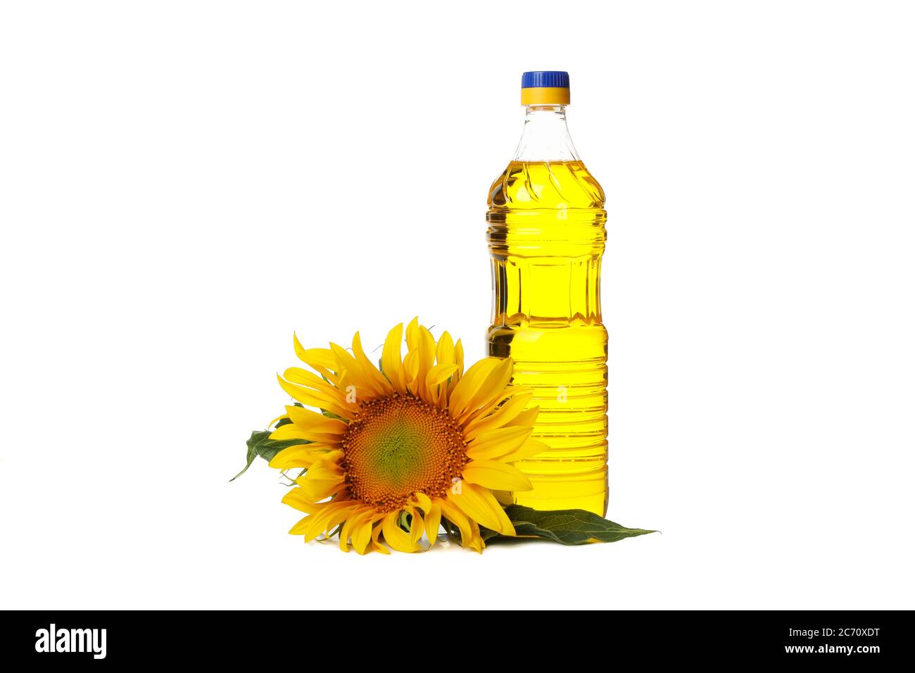 Sunflower and oil isolated on white background Stock Photo