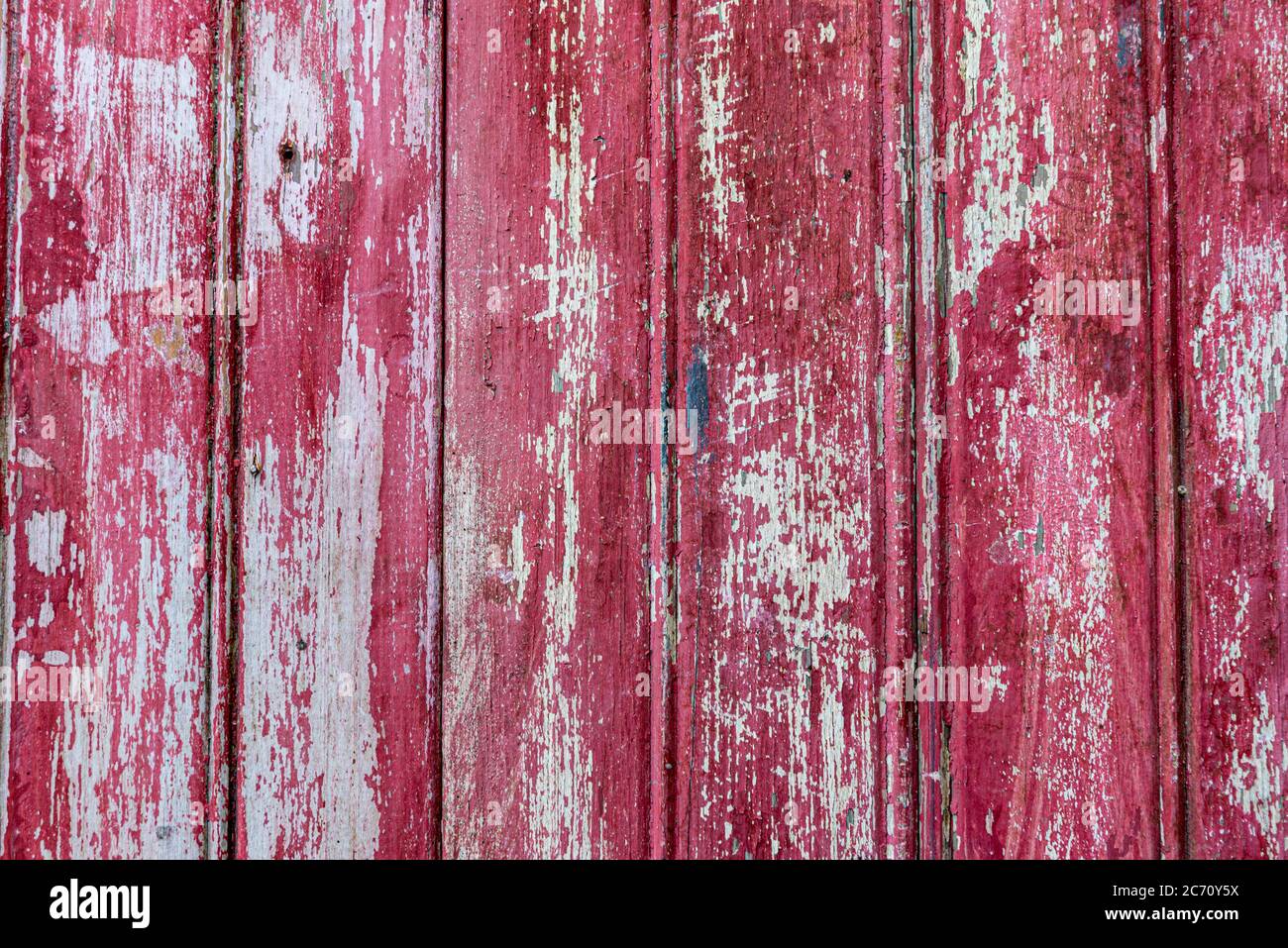 Wood texture. Processed pine boards. Planed wood. Scene background