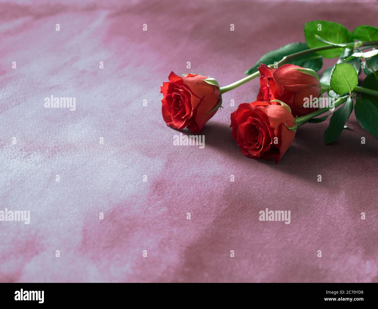 Death Anniversary Flower High Resolution Stock Photography And Images Alamy