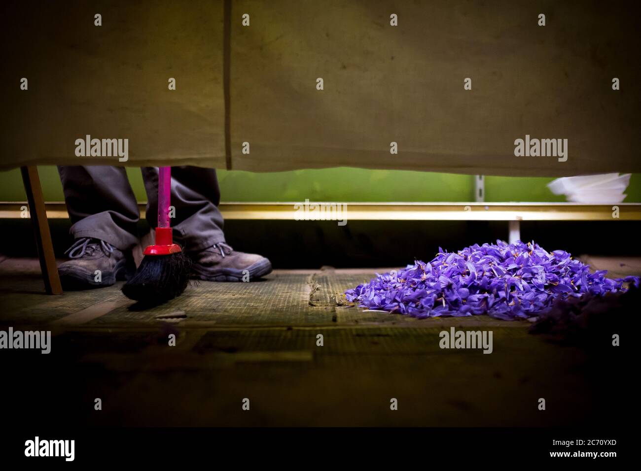 Hssan El Hasani Sweeps The Floor After A Day Of Unblading The Saffron Flower In The Azafranes Jiloca Facility Of Monreal Del Campo Spain Date 29 10 15 Photo Xabier Mikel Laburu Jose Maria