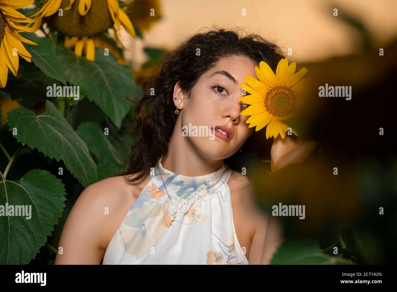 Beautiful young girl posing in a sunflower field Stock Photo - Alamy