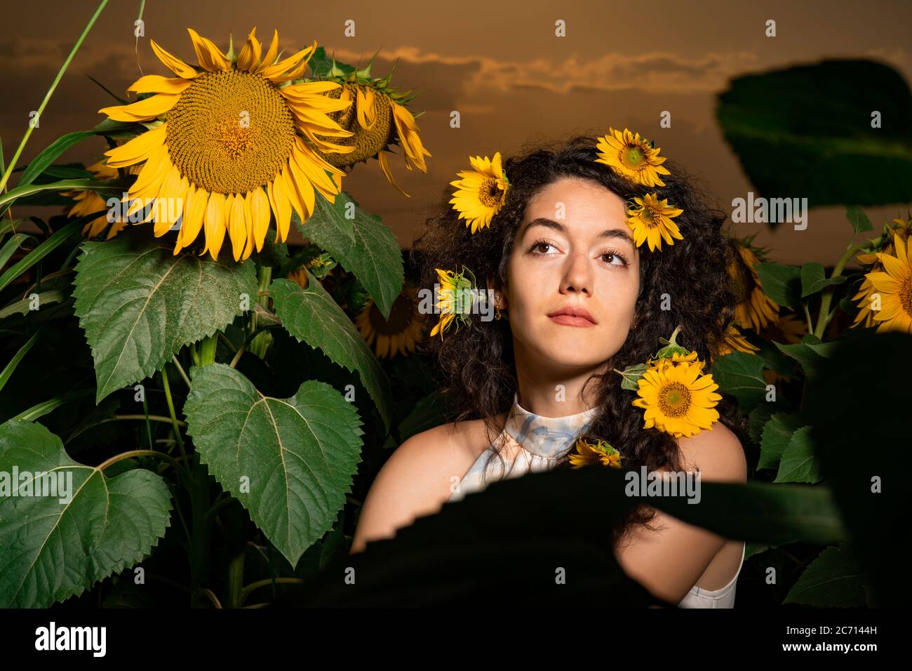 Beautiful young girl posing in a sunflower field Stock Photo - Alamy