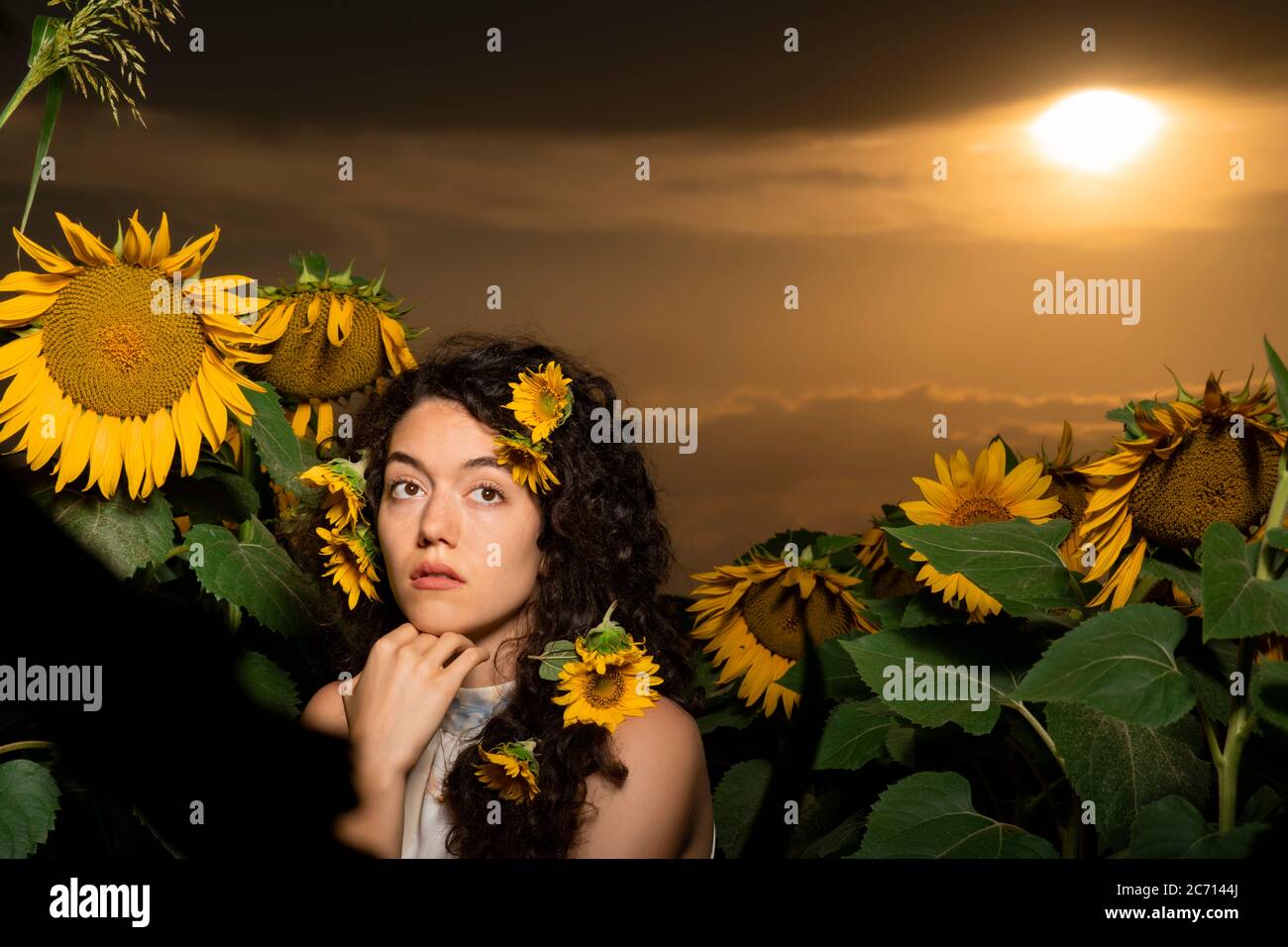 Beautiful young girl posing in a sunflower field Stock Photo - Alamy