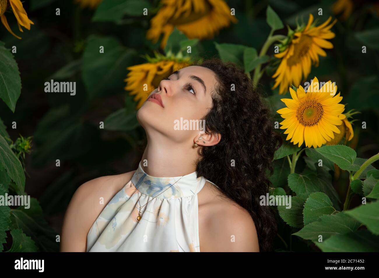 Beautiful young girl posing in a sunflower field Stock Photo - Alamy