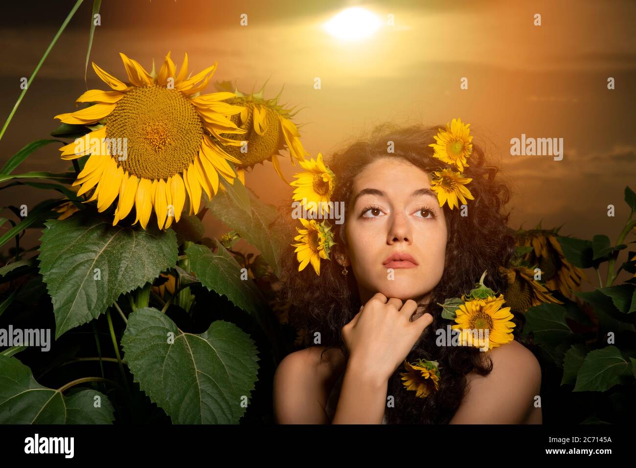 Beautiful young girl posing in a sunflower field Stock Photo - Alamy