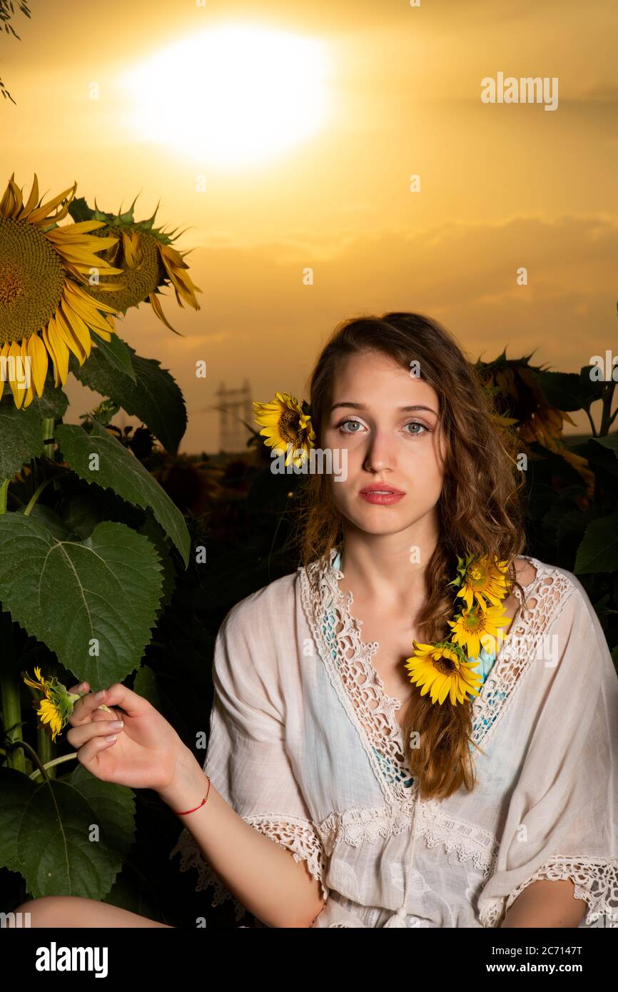Beautiful young girl posing in a sunflower field Stock Photo - Alamy