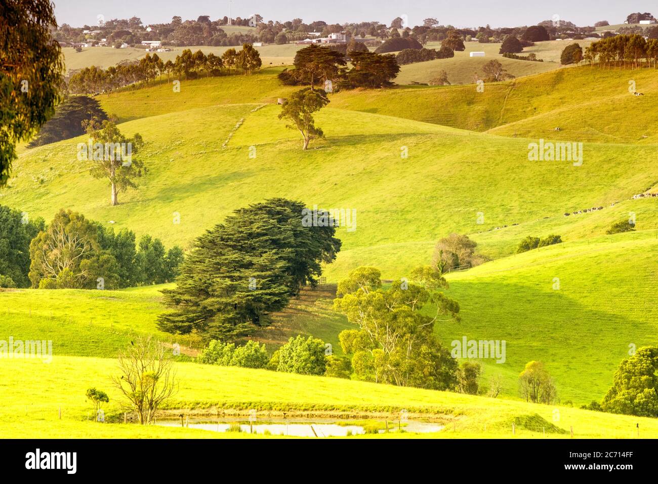 Beautiful countryside hills of Victoria - Australia. Landscape near Bena. Stock Photo