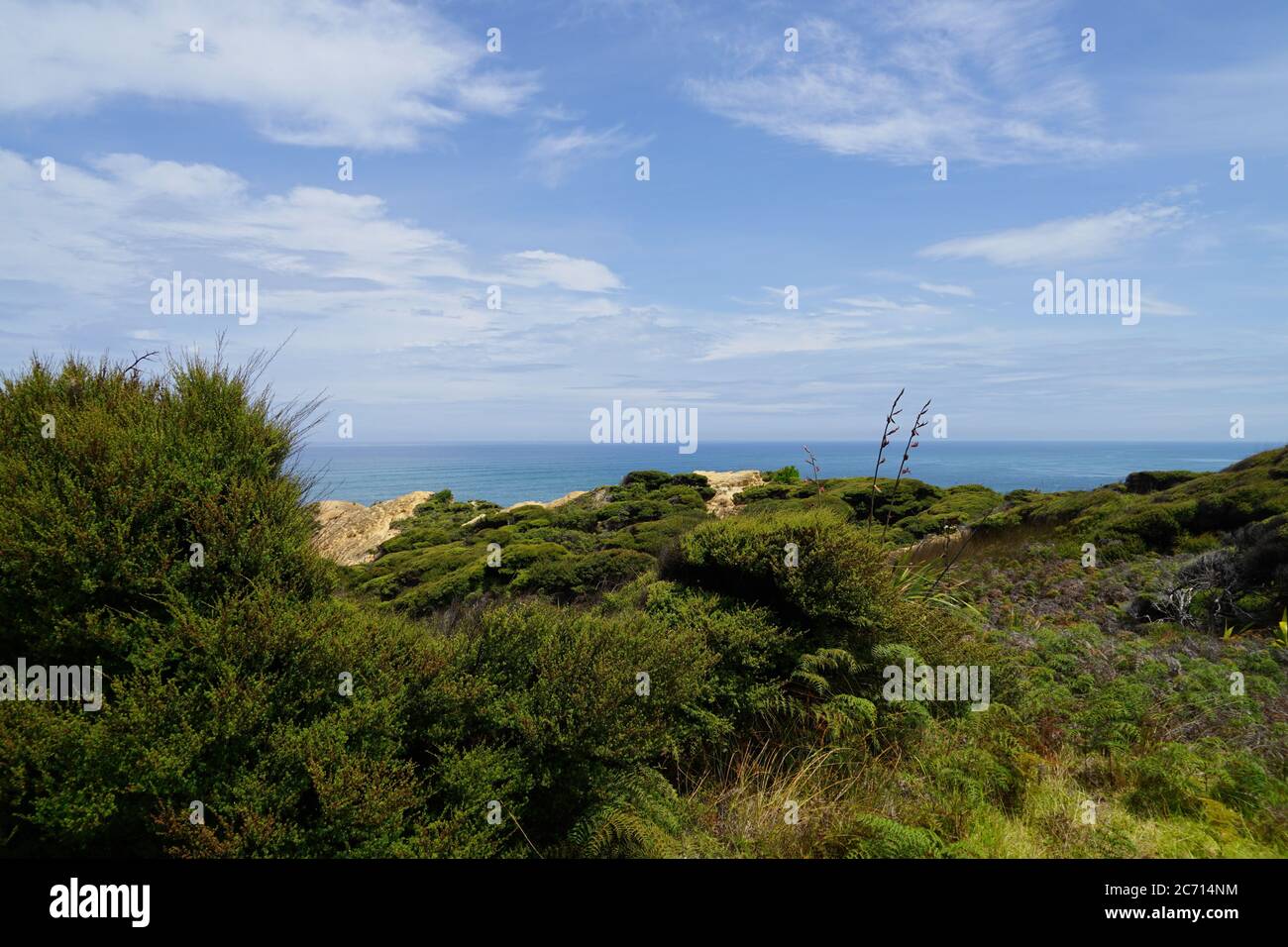 Arai te Uru Recreation Reserve panorama view over landscape and ocean Stock Photo