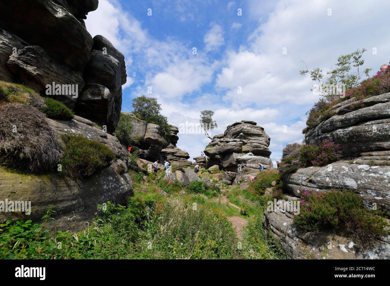 Brimn Rocks Brimham Rocks in North Yorkshire, is owned by National Trust & is great ...