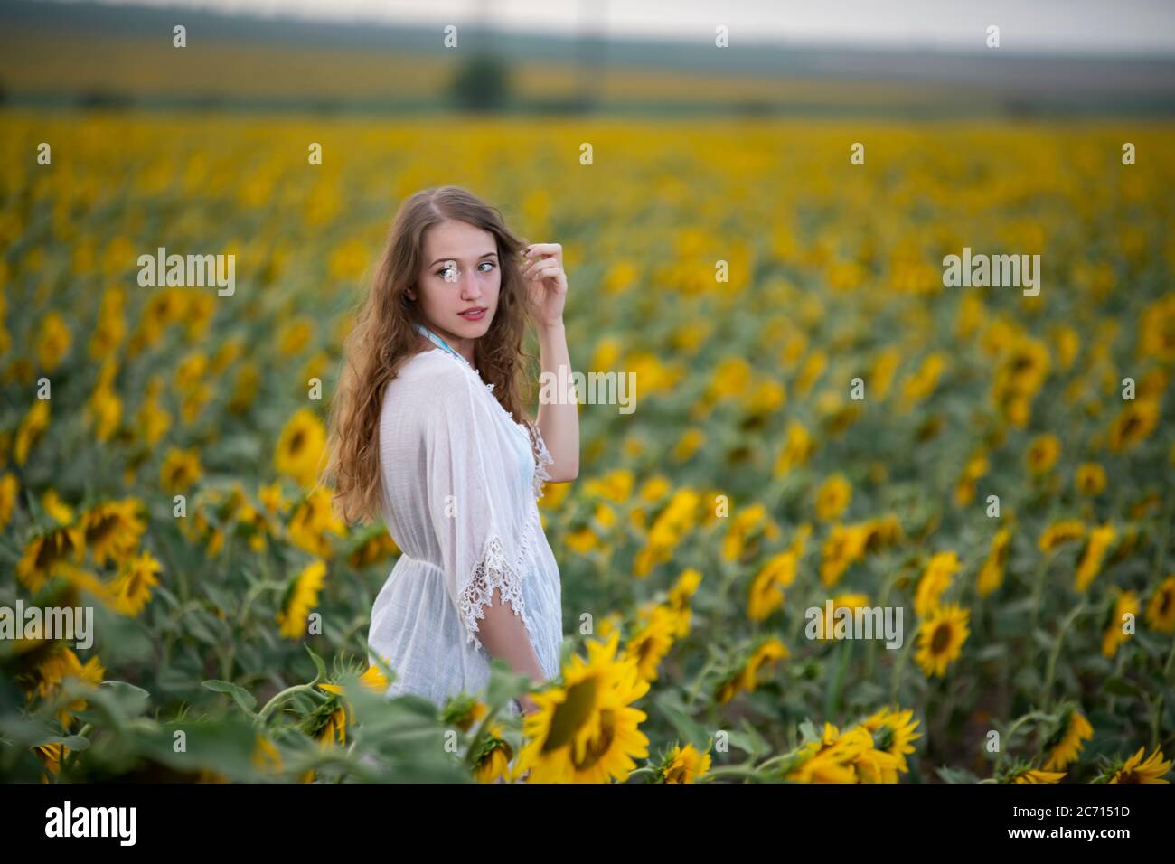 Beautiful young girl posing in a sunflower field Stock Photo - Alamy