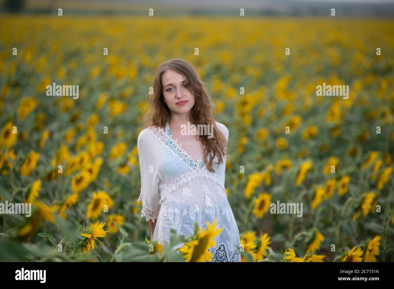 Beautiful young girl posing in a sunflower field Stock Photo - Alamy