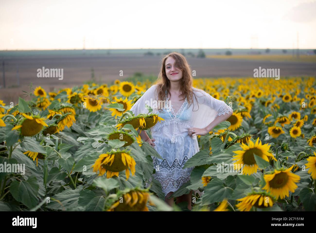 Beautiful young girl posing in a sunflower field Stock Photo - Alamy