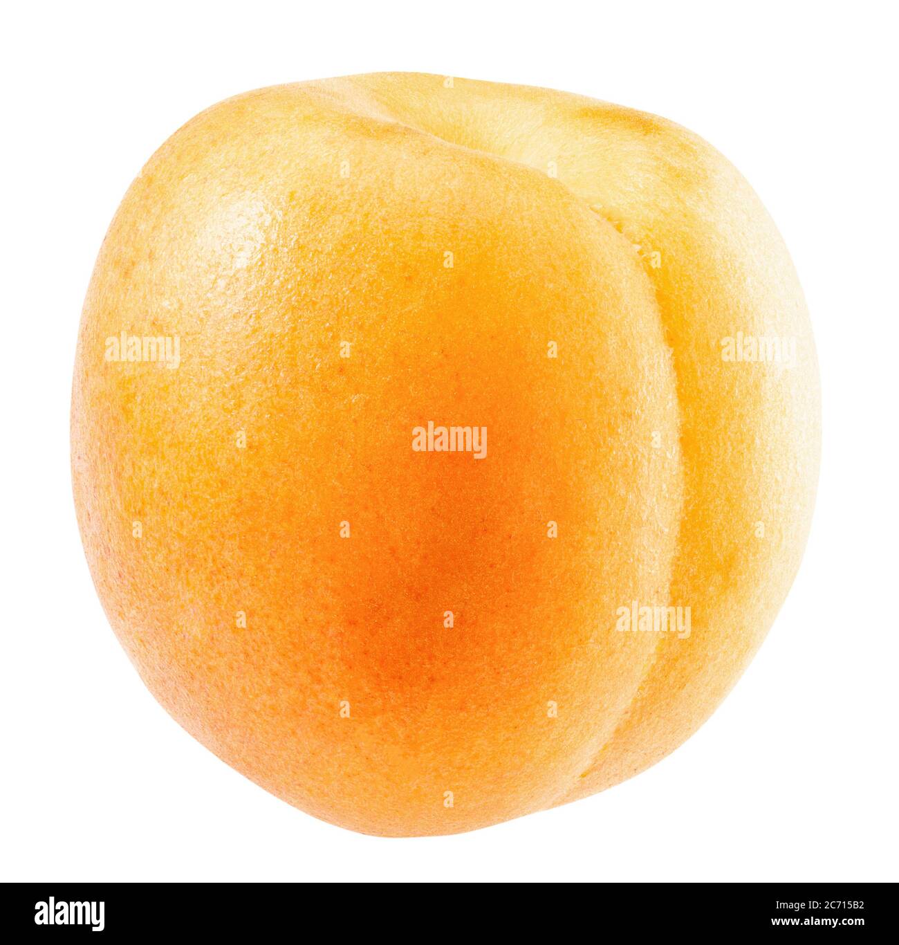 apricot isolated on a white background Stock Photo - Alamy