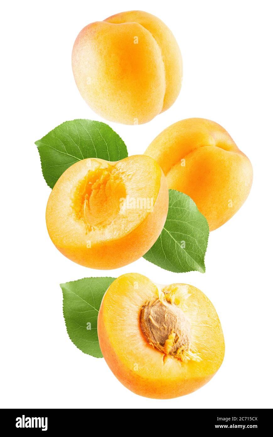 apricots with leaves isolated on a white background Stock Photo - Alamy