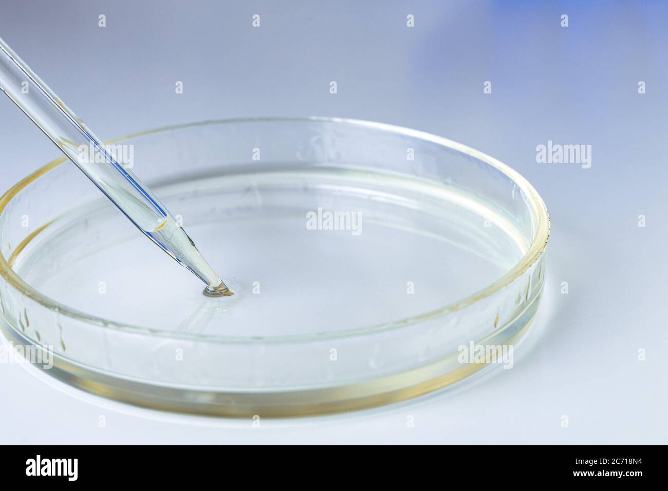 Petri dish and pipette with dropping liquid close up Stock Photo Alamy