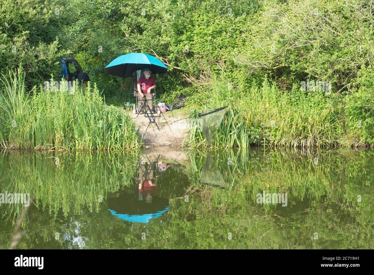 Coarse angler fishing from water's edge of pond Umbrella sunshade, surrounded by vegetation Reflection of angler and umbrella in the water below Sunny Stock Photo