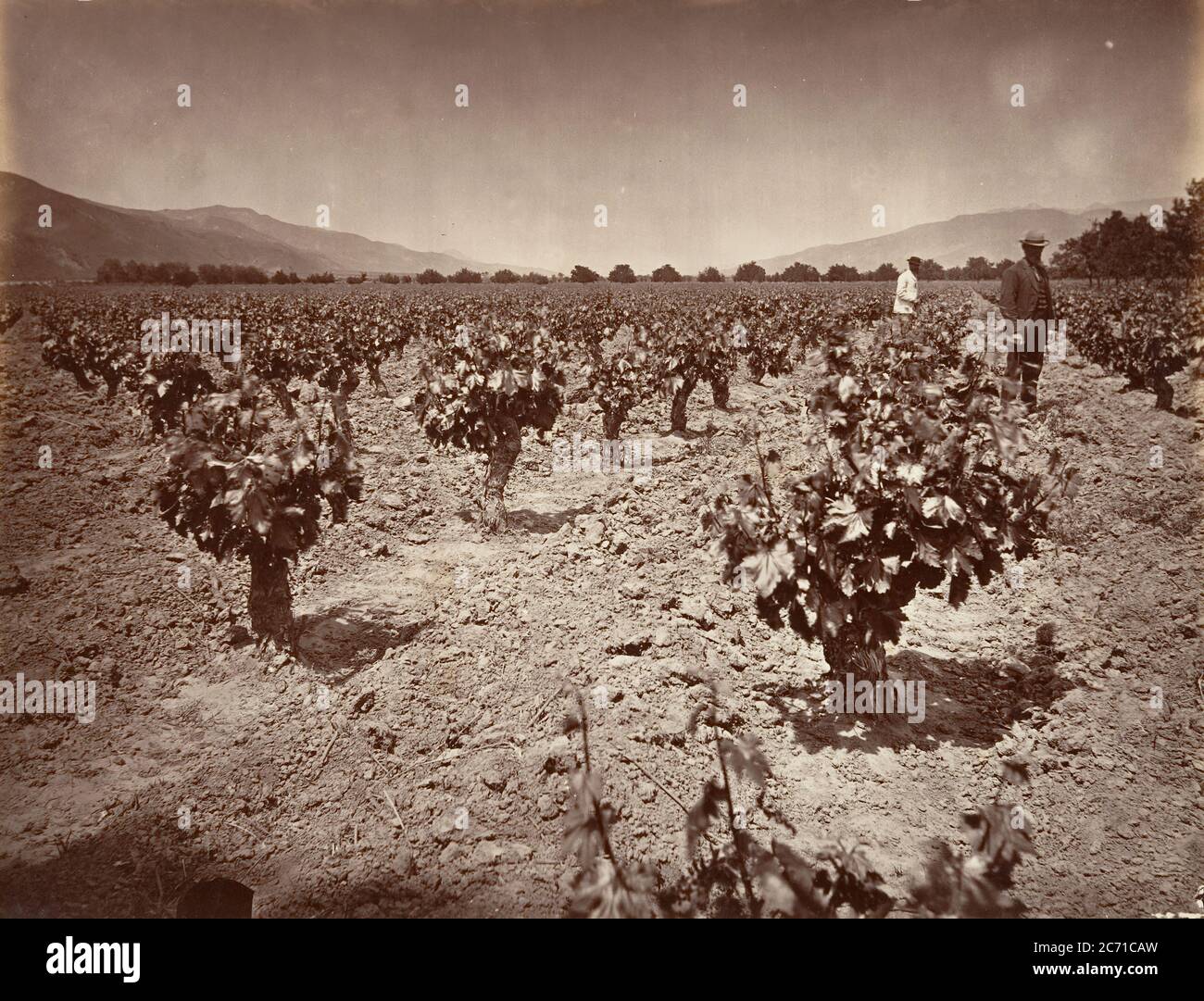 California ranch and 19th century hi-res stock photography and images ...
