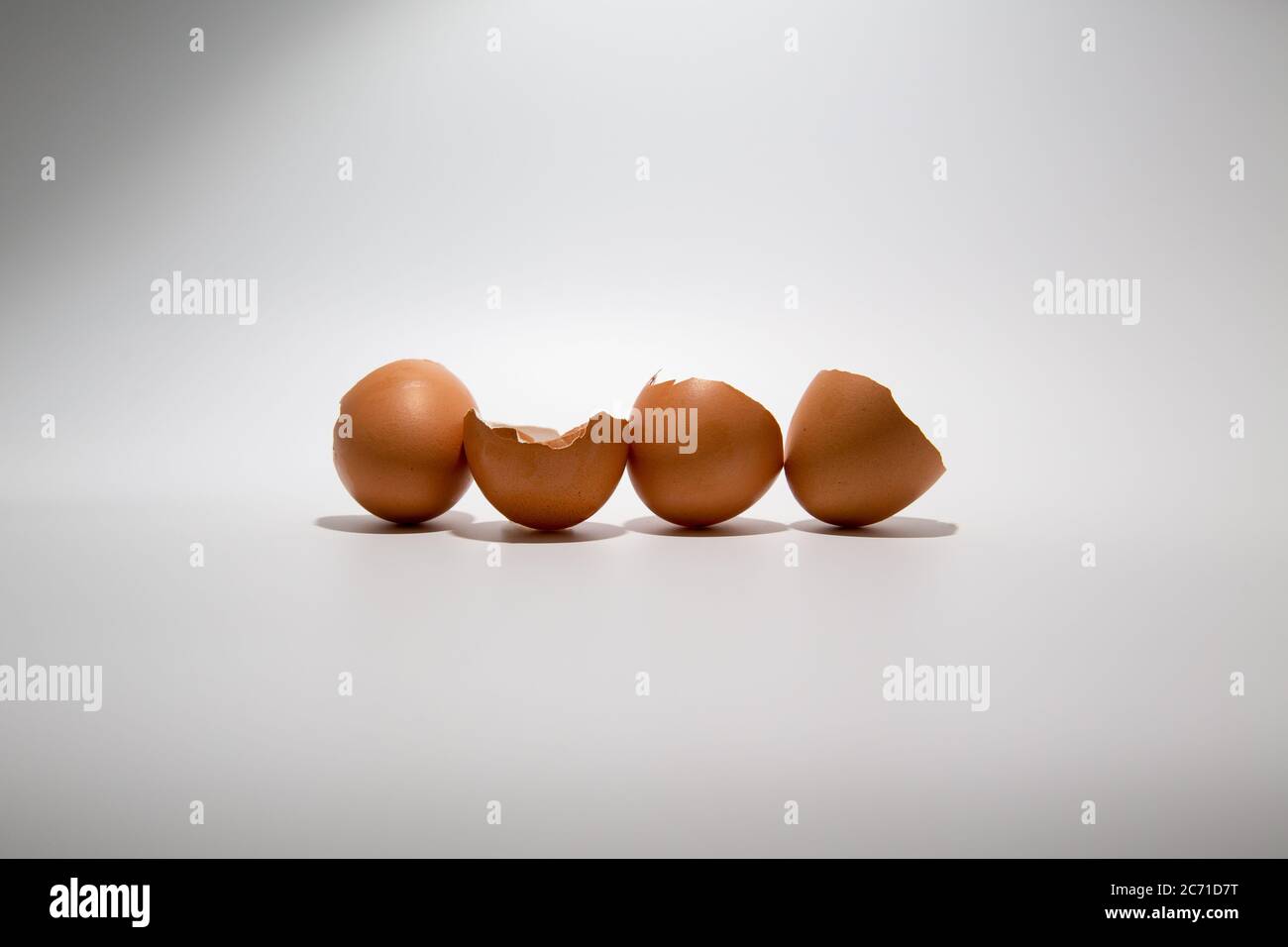 Broken chicken eggshells in line isolated on white background with copy space Stock Photo